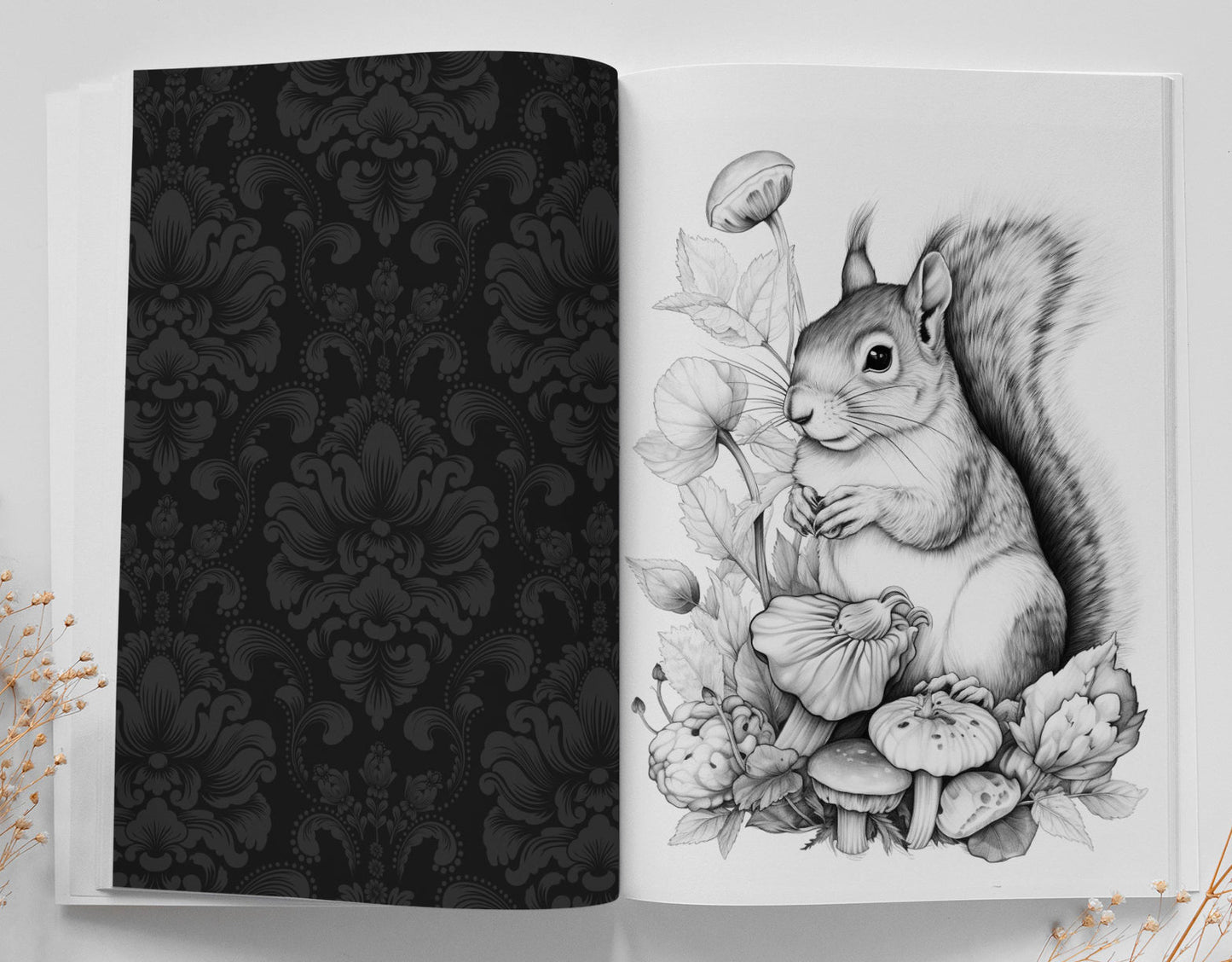 Autumn squirrels Coloring Book digital Monsoon Publishing USA