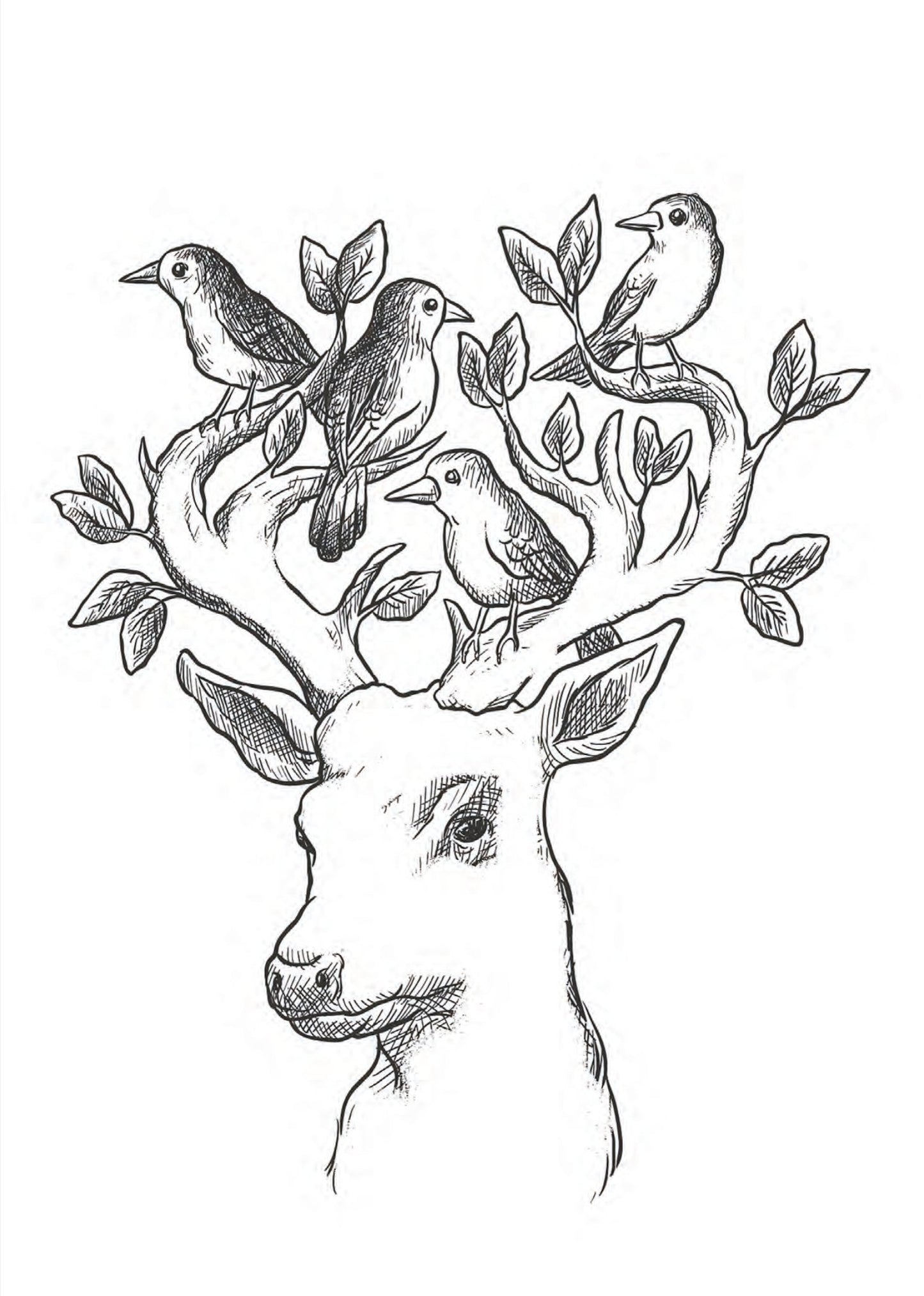 Hello Spring Coloring Book for Adults (Printbook) - Monsoon Publishing USA