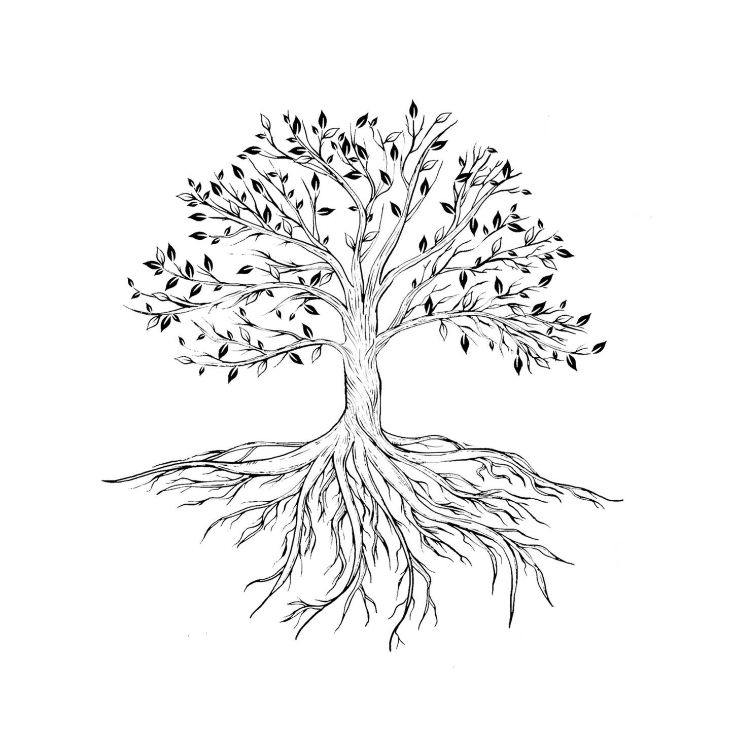 tree of life coloring book for adults