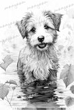 Autumn Dogs Coloring Book (Printbook)