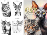 Cat Breeds Coloring Book (Printbook)