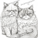Grumpy Cats Grayscale Coloring Book (Digital)