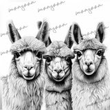 Lama Coloring Book for Adults Grayscale (Printbook)