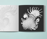Nudibranchs Ocean Coloring Book (Printbook)
