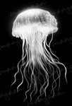 Deep Sea Jellyfish Grayscale Ocean Coloring Book (Printbook)
