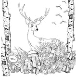deer in forest coloring