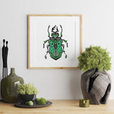 beetle drawing poster