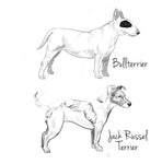 dog breeds coloring book