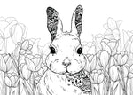 easter bunny coloring book for adults