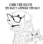 funny dog with glasses and cat