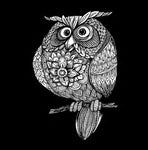 funny owl coloring book for adults