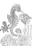 underwater coloring book for adults seahorse