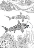 sealife coloring book for adults