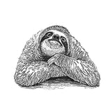 funny sloth drawing